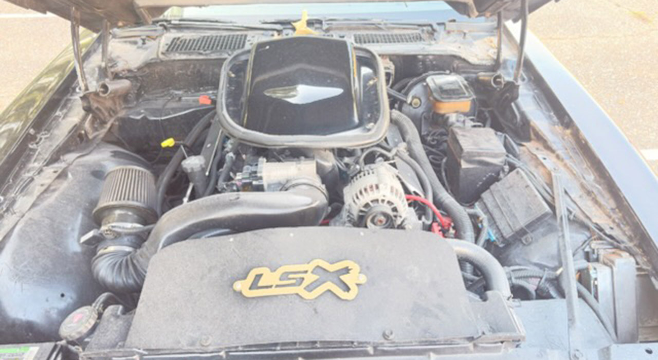 6th Image of a 1981 PONTIAC FIREBIRD TRANS AM