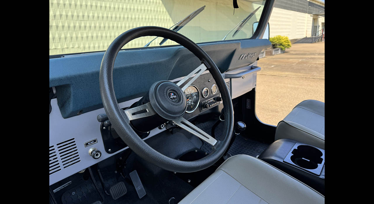 16th Image of a 1983 JEEP RENEGADE CJ7