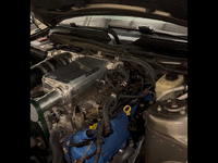Image 14 of 14 of a 2005 FORD MUSTANG GT