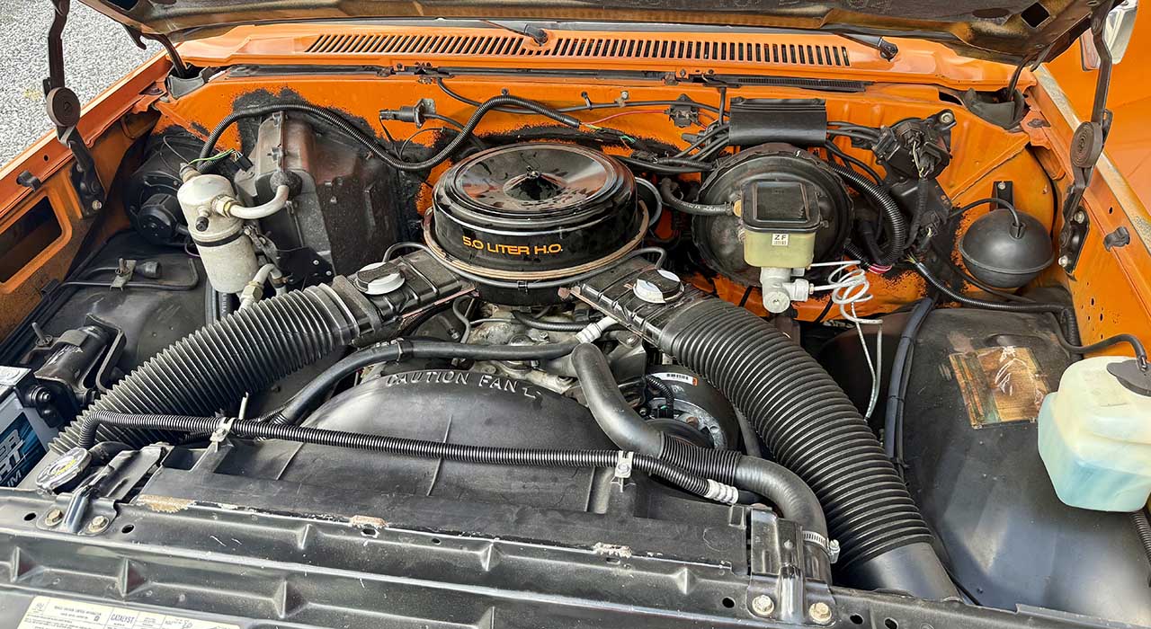 8th Image of a 1984 CHEVROLET C10