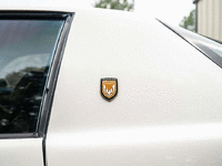 Image 10 of 27 of a 1989 PONTIAC FIREBIRD TRANS AM