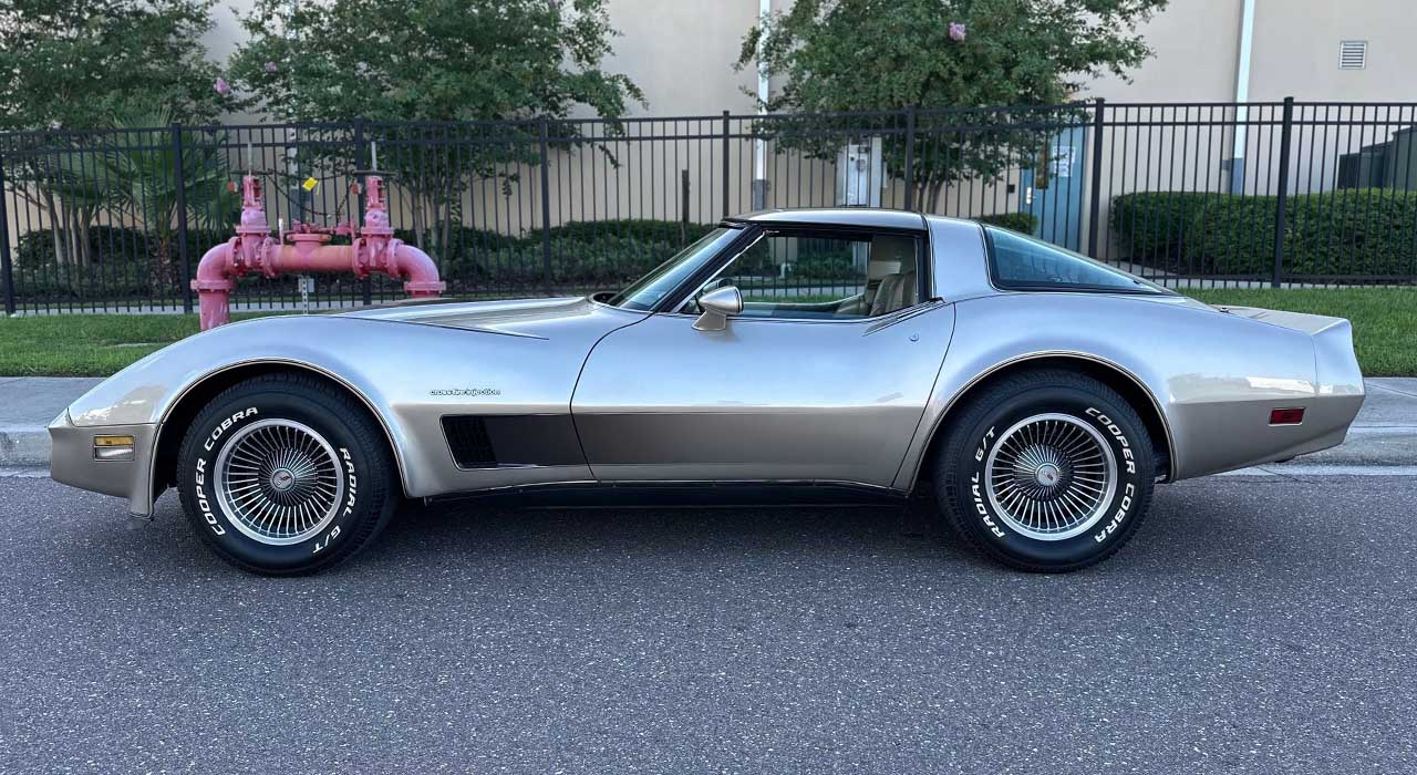 7th Image of a 1982 CHEVROLET CORVETTE