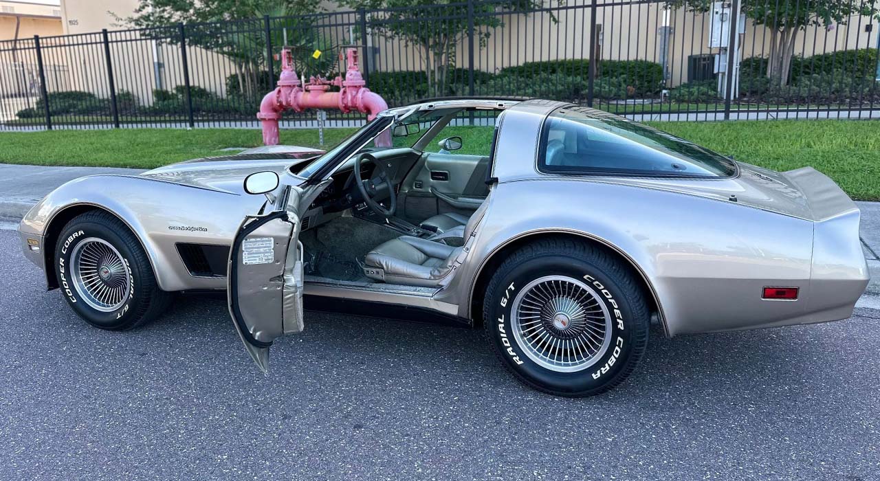 9th Image of a 1982 CHEVROLET CORVETTE