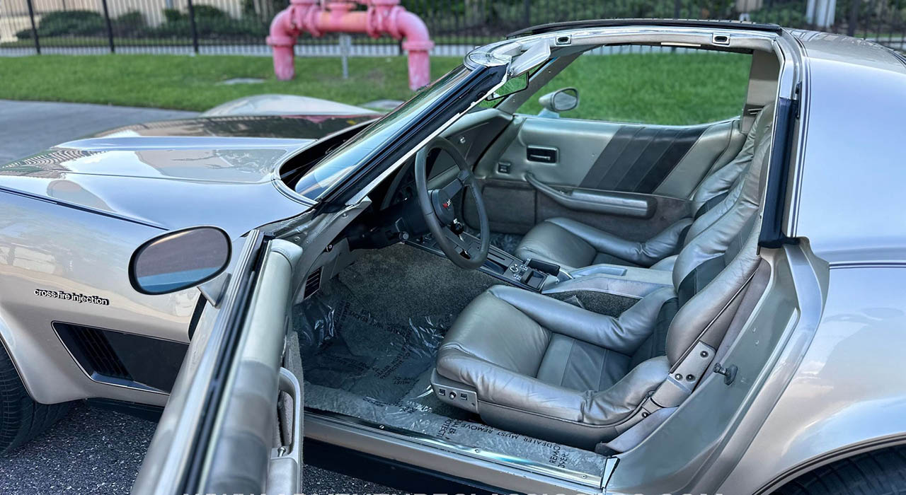 12th Image of a 1982 CHEVROLET CORVETTE