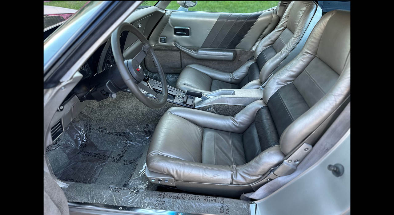 14th Image of a 1982 CHEVROLET CORVETTE