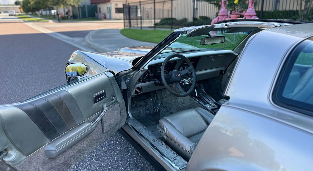 16th Image of a 1982 CHEVROLET CORVETTE