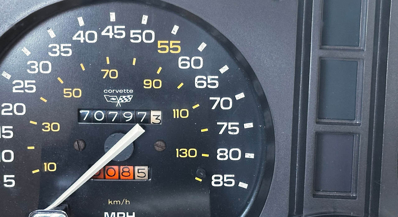 18th Image of a 1982 CHEVROLET CORVETTE