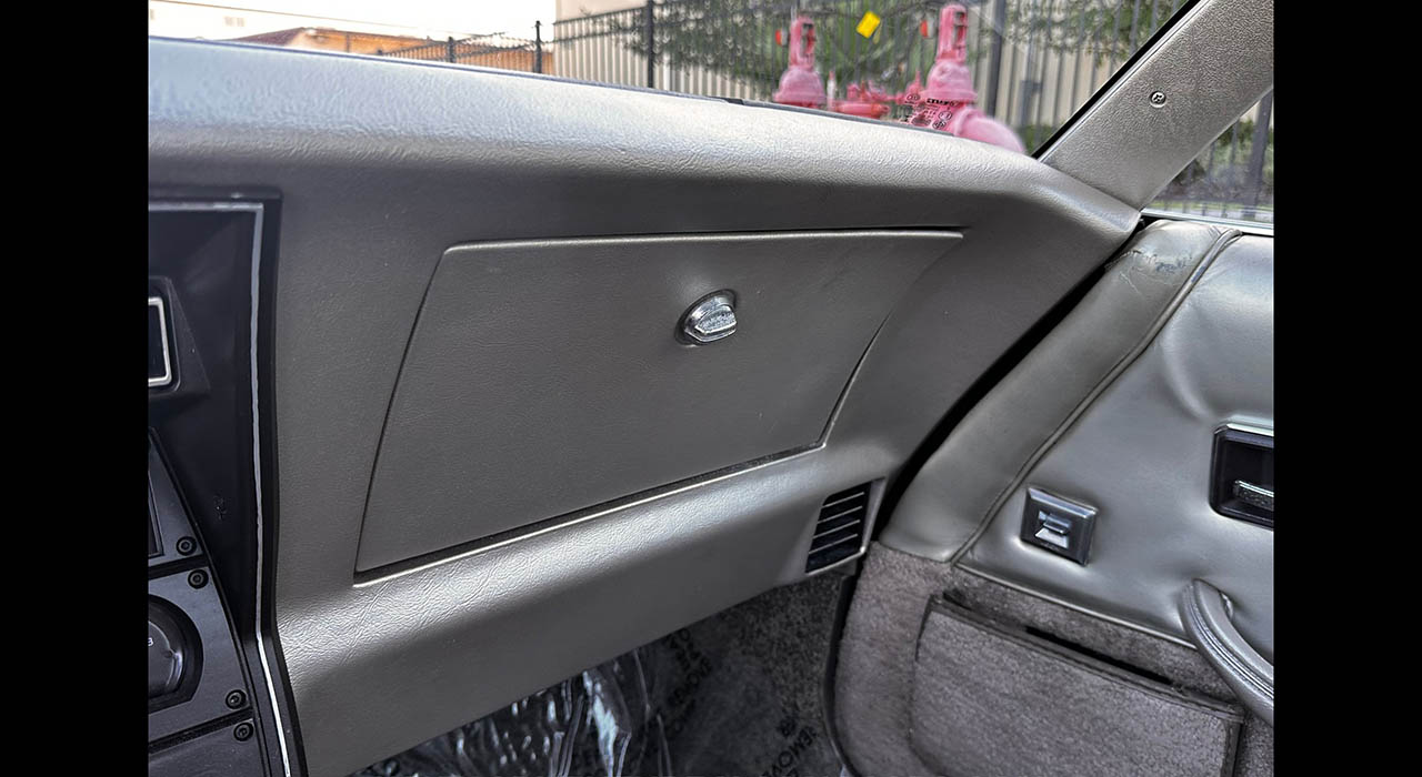 19th Image of a 1982 CHEVROLET CORVETTE