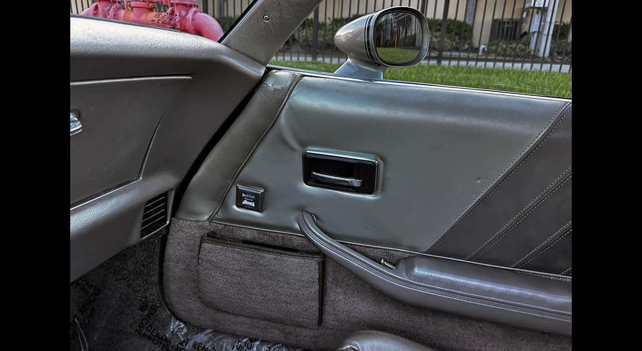 20th Image of a 1982 CHEVROLET CORVETTE