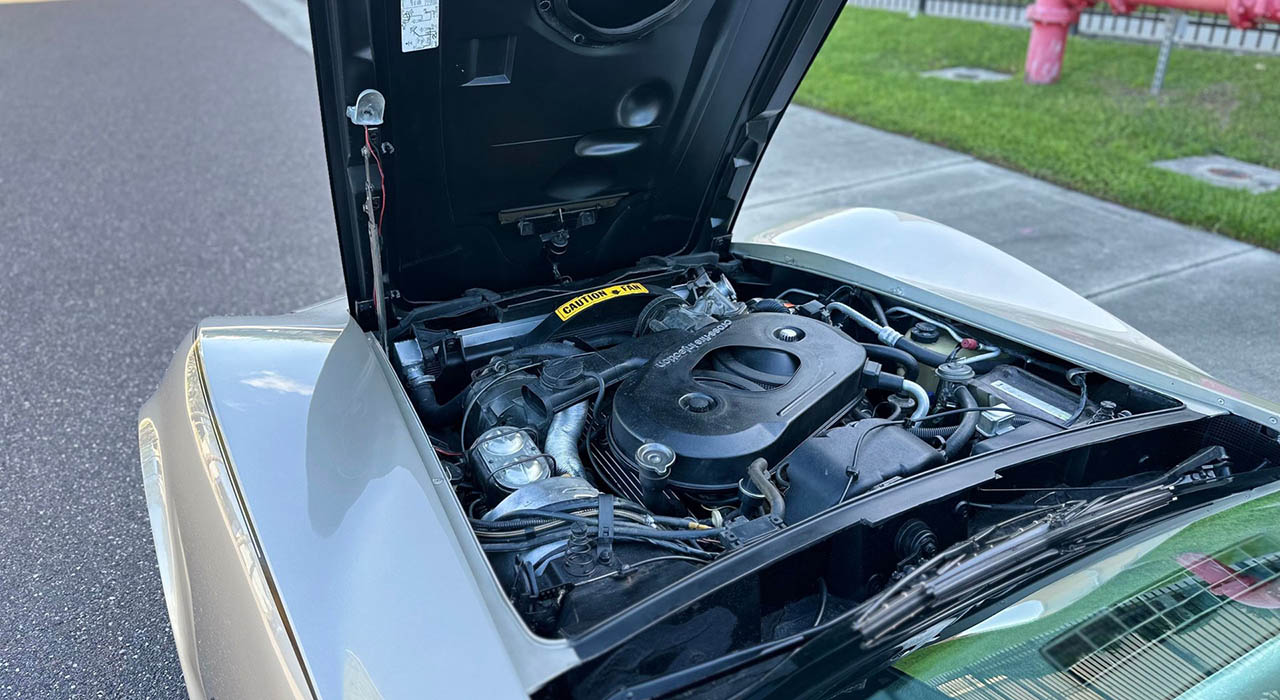 22nd Image of a 1982 CHEVROLET CORVETTE