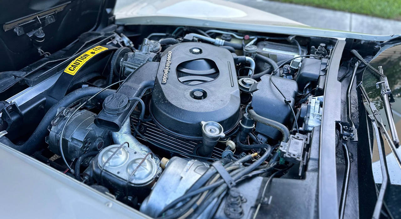 24th Image of a 1982 CHEVROLET CORVETTE