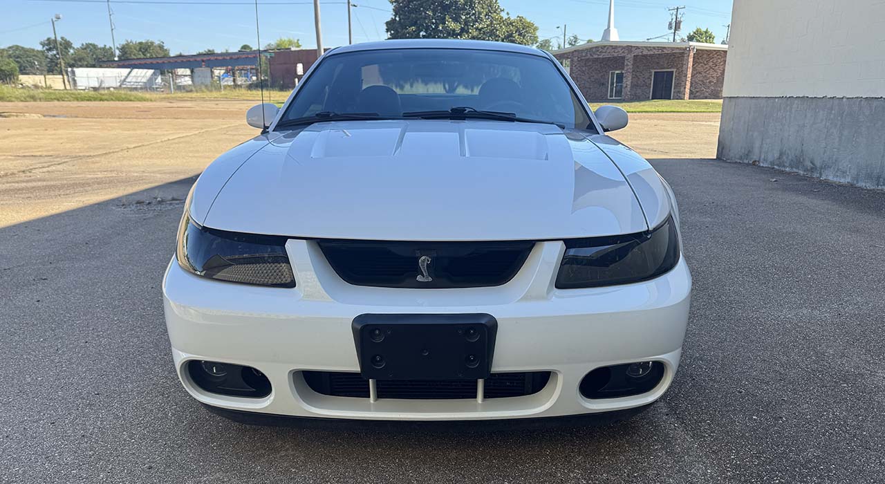 6th Image of a 2004 FORD MUSTANG COBRA SVT