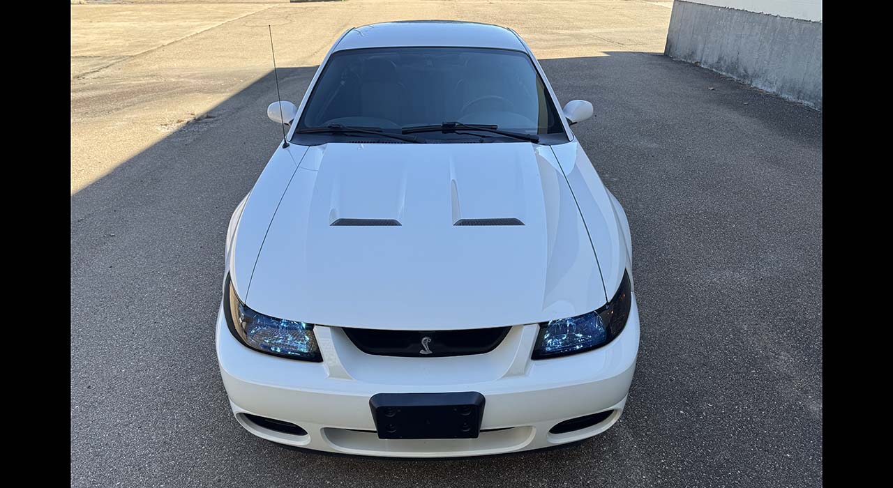 8th Image of a 2004 FORD MUSTANG COBRA SVT