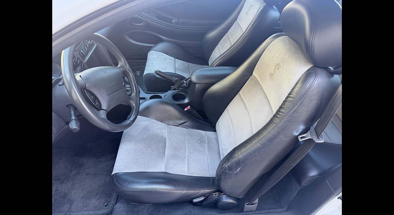 14th Image of a 2004 FORD MUSTANG COBRA SVT