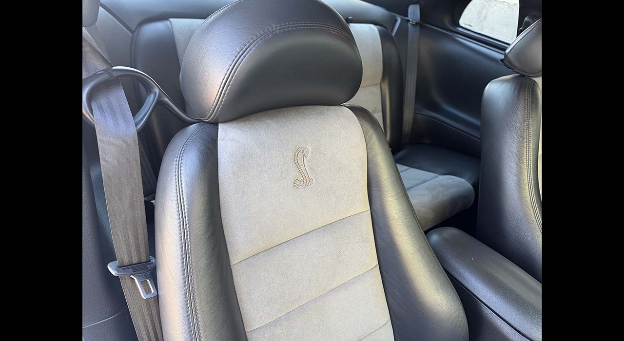 18th Image of a 2004 FORD MUSTANG COBRA SVT