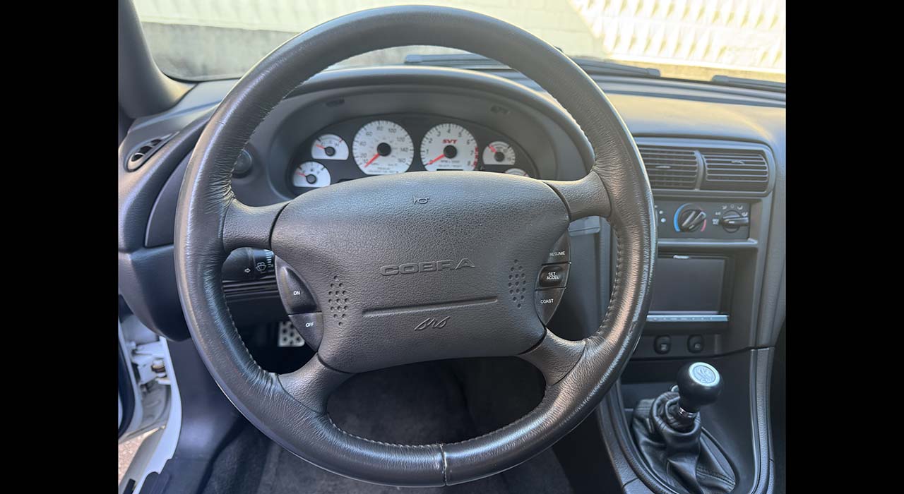 23rd Image of a 2004 FORD MUSTANG COBRA SVT