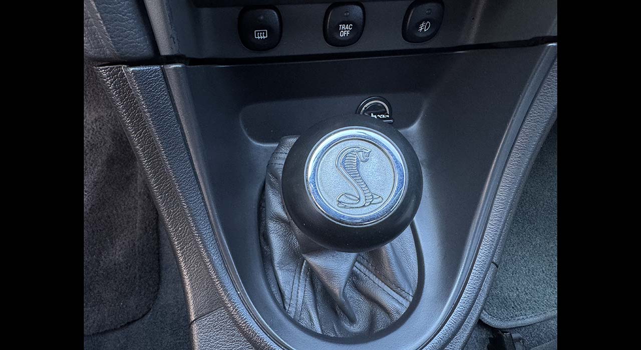 28th Image of a 2004 FORD MUSTANG COBRA SVT