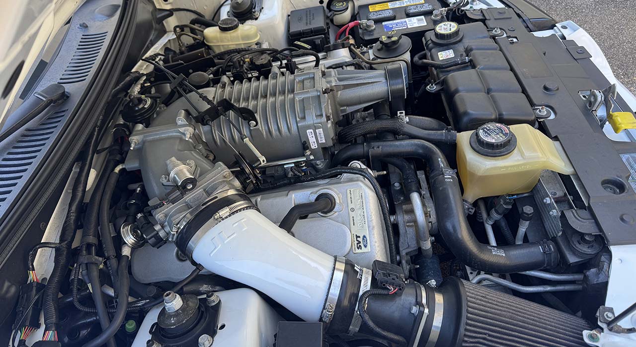 31st Image of a 2004 FORD MUSTANG COBRA SVT