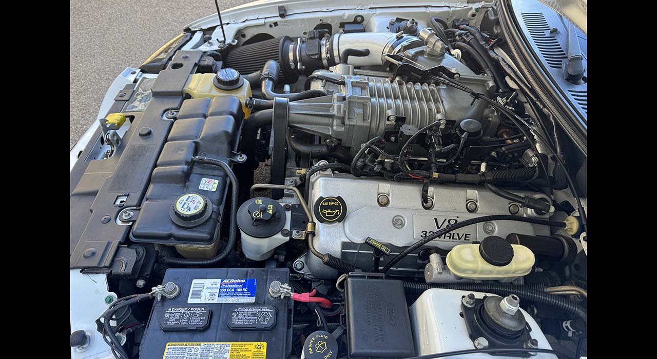 32nd Image of a 2004 FORD MUSTANG COBRA SVT