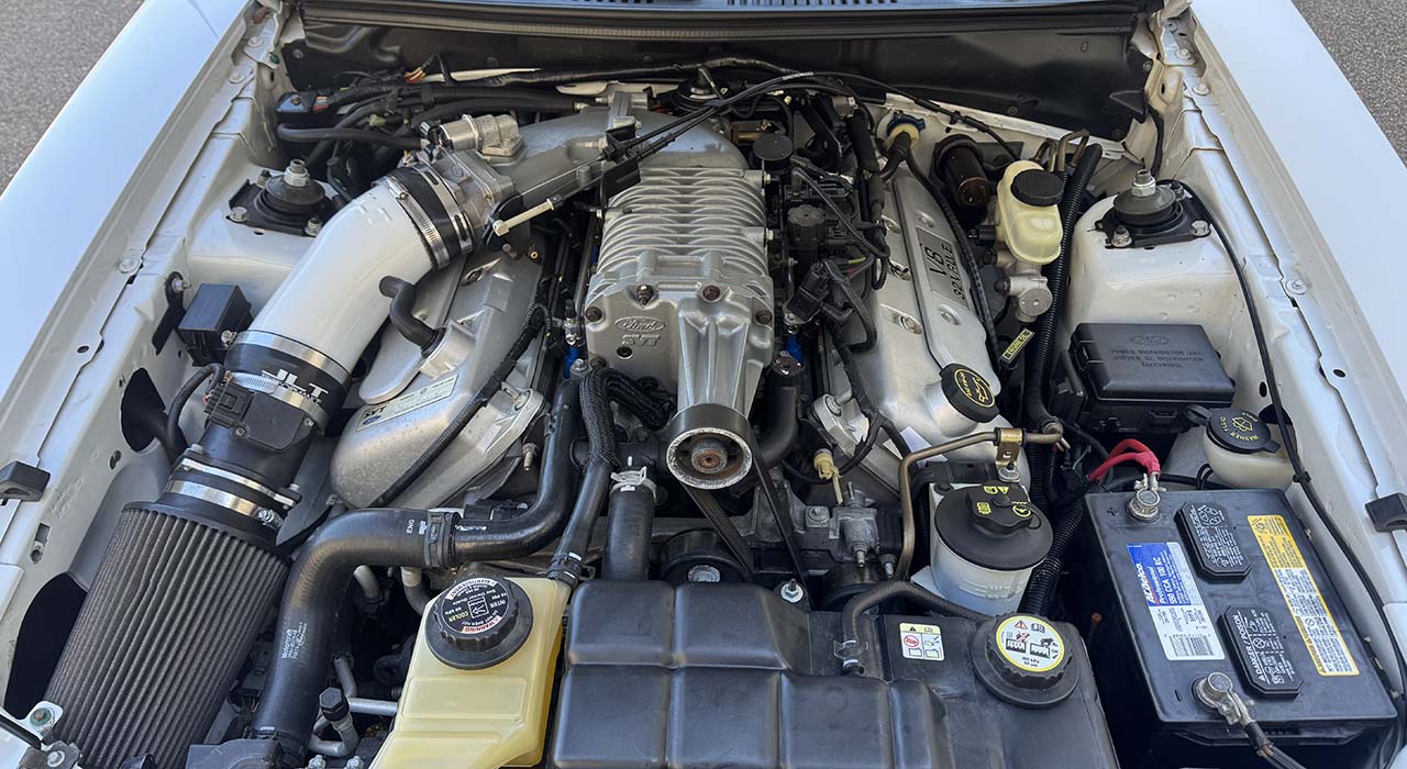 33rd Image of a 2004 FORD MUSTANG COBRA SVT