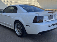 Image 3 of 34 of a 2004 FORD MUSTANG COBRA SVT