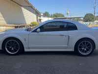 Image 5 of 34 of a 2004 FORD MUSTANG COBRA SVT