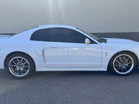 Image 6 of 34 of a 2004 FORD MUSTANG COBRA SVT