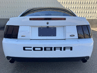 Image 8 of 34 of a 2004 FORD MUSTANG COBRA SVT