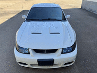 Image 9 of 34 of a 2004 FORD MUSTANG COBRA SVT