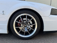Image 11 of 34 of a 2004 FORD MUSTANG COBRA SVT