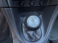 Image 29 of 34 of a 2004 FORD MUSTANG COBRA SVT