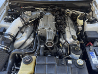 Image 34 of 34 of a 2004 FORD MUSTANG COBRA SVT