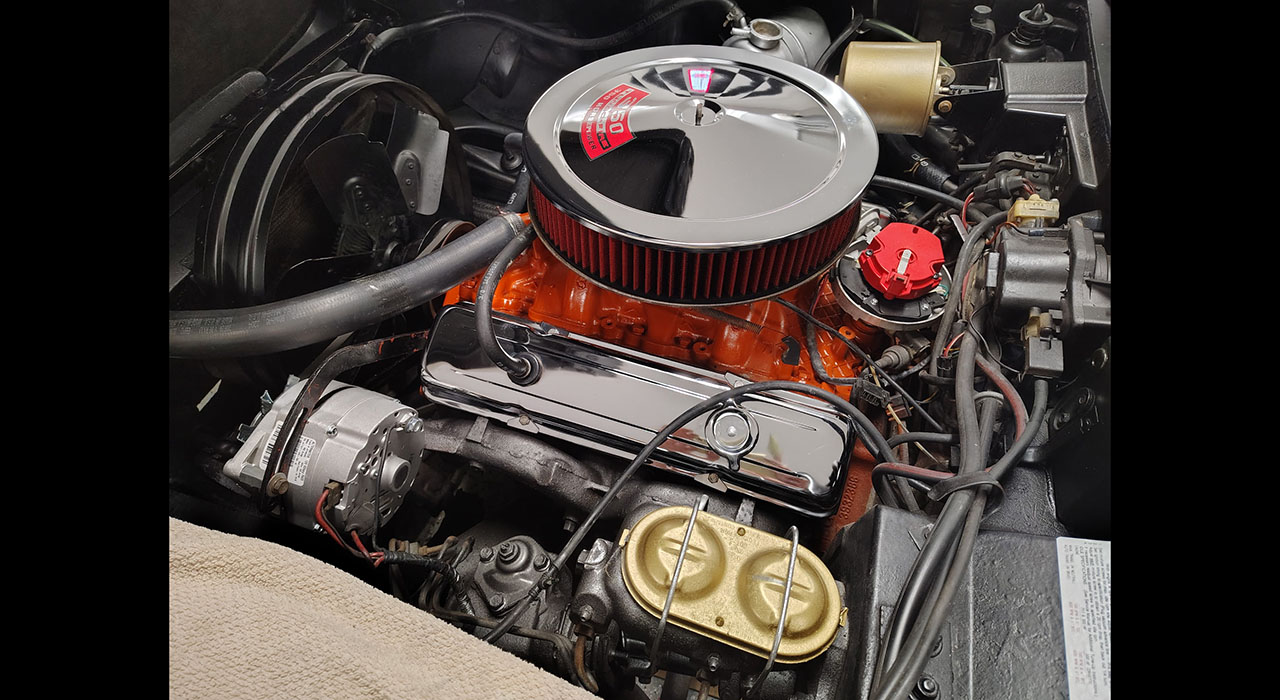 15th Image of a 1969 CHEVROLET CORVETTE