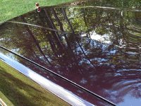 Image 8 of 18 of a 1987 CHEVROLET EL CAMINO