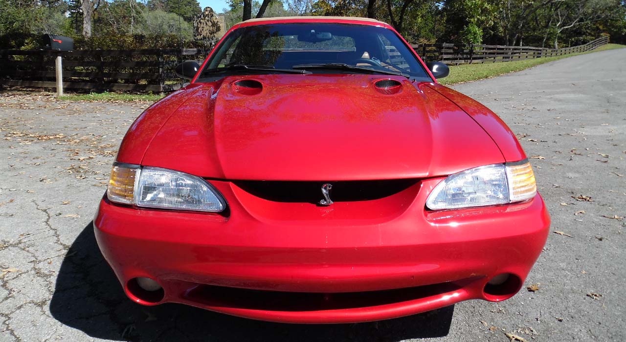 6th Image of a 1998 FORD MUSTANG COBRA