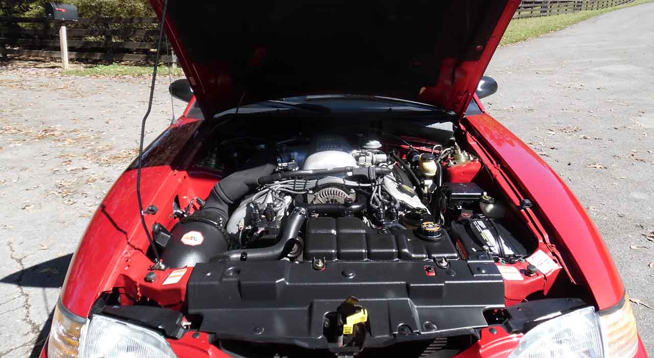 14th Image of a 1998 FORD MUSTANG COBRA