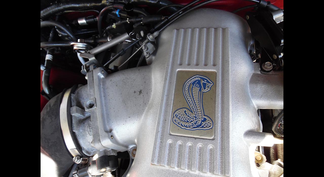 16th Image of a 1998 FORD MUSTANG COBRA