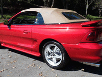 Image 6 of 18 of a 1998 FORD MUSTANG COBRA