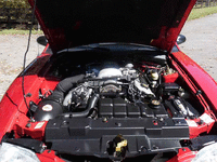 Image 15 of 18 of a 1998 FORD MUSTANG COBRA