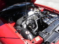 Image 16 of 18 of a 1998 FORD MUSTANG COBRA