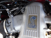 Image 17 of 18 of a 1998 FORD MUSTANG COBRA