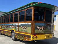 Image 2 of 9 of a 1998 CHANCE TROLLEY