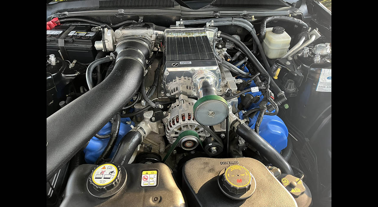 10th Image of a 2006 FORD SHELBY HERTZ