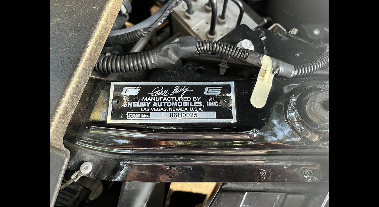 12th Image of a 2006 FORD SHELBY HERTZ