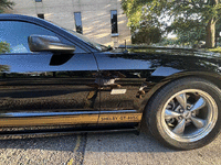 Image 6 of 15 of a 2006 FORD SHELBY HERTZ