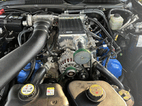 Image 11 of 15 of a 2006 FORD SHELBY HERTZ