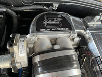 Image 12 of 15 of a 2006 FORD SHELBY HERTZ