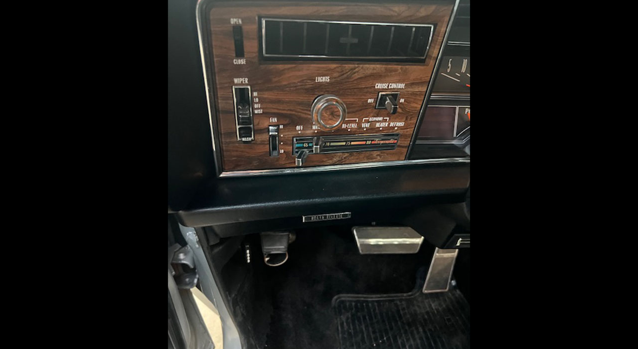 20th Image of a 1976 OLDSMOBILE 98