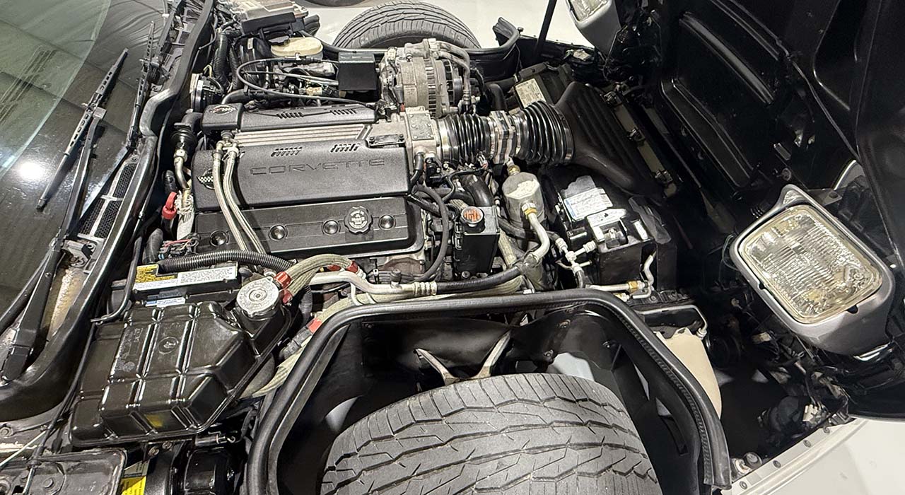 14th Image of a 1996 CHEVROLET CORVETTE