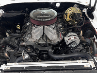 Image 13 of 14 of a 1970 PONTIAC GTO TRIBUTE